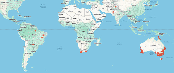 collecting locality world map for 'Adair, R.J.'