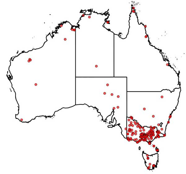 David Aston specimen locations