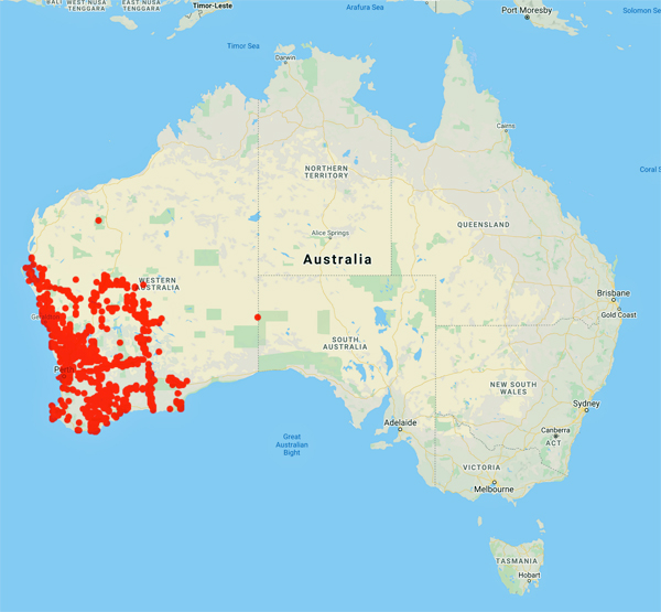 collecting locality map for 'Blackall, W.E.'