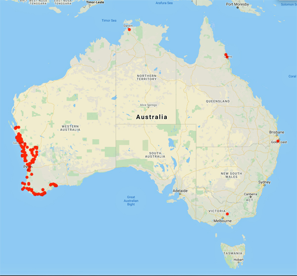 collecting locality map for 'Brummitt, R.K.'