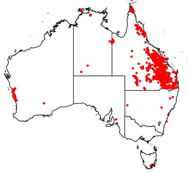 Collecting localities for Johnson, R.W.