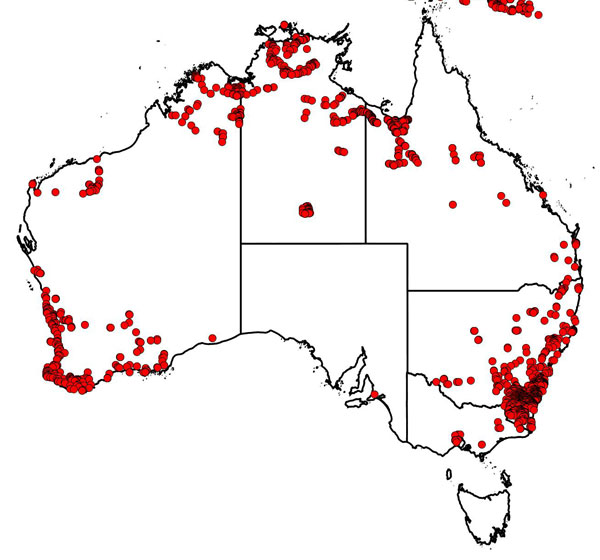 map: Roy Pullen