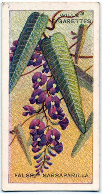 cigarette card front