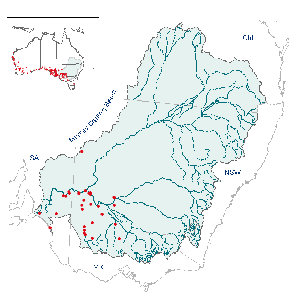 Mesembryanthemum crystallinum map