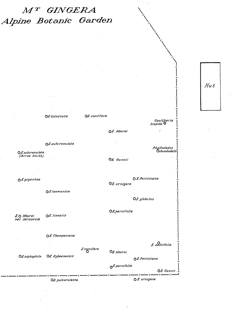 ANBG map 1950