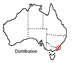 distribution map