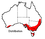 distribution map