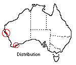 distribution map