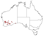 Gunniopsis intermedia distribution