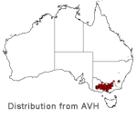 Grevillea alpina distribution