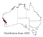 Verticordia monadelpha distribution