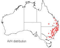 Xanthorrhoea glauca distribution