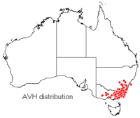 Grevillea lanigera distribution