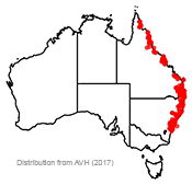 Toona ciliata distribution