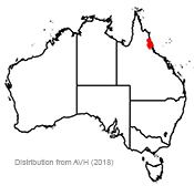 Dryopteris wattsii distribution