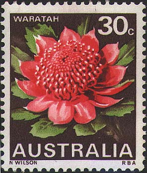 Telopea speciosissima stamp