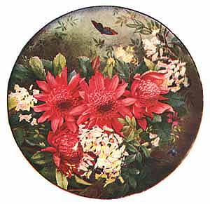 waratah plaque